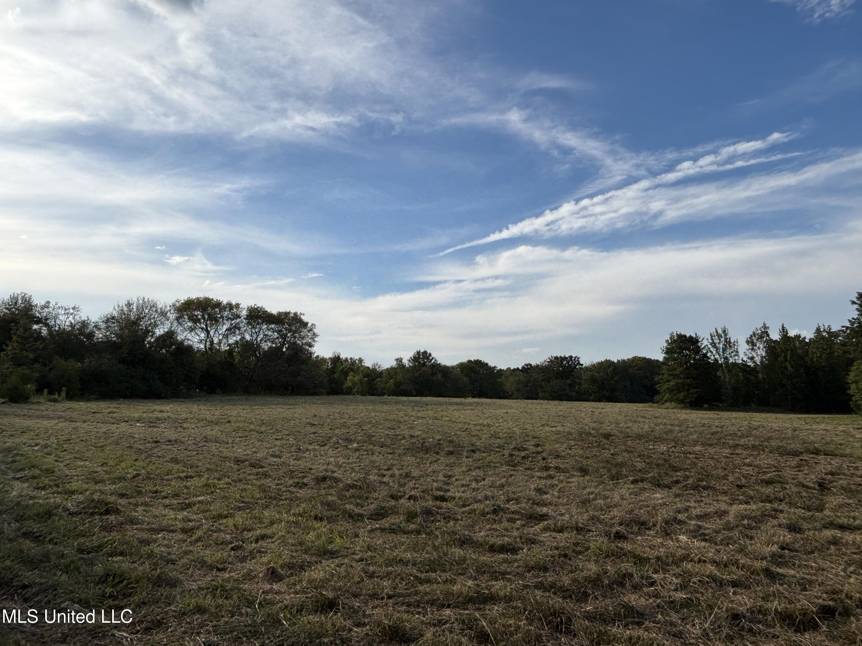 254 Renfroe Road Canton, MS 39046 - Photo 10 of 24 11