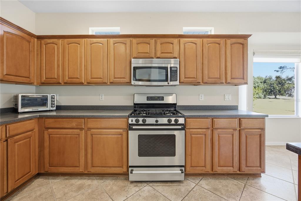 12975 Southeast 93rd Circle Summerfield, FL 34491 - Photo 6 of 34