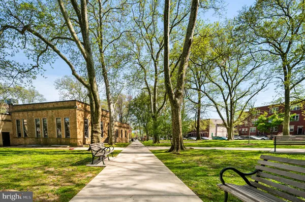 a park with large trees