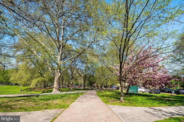 a park view with large trees