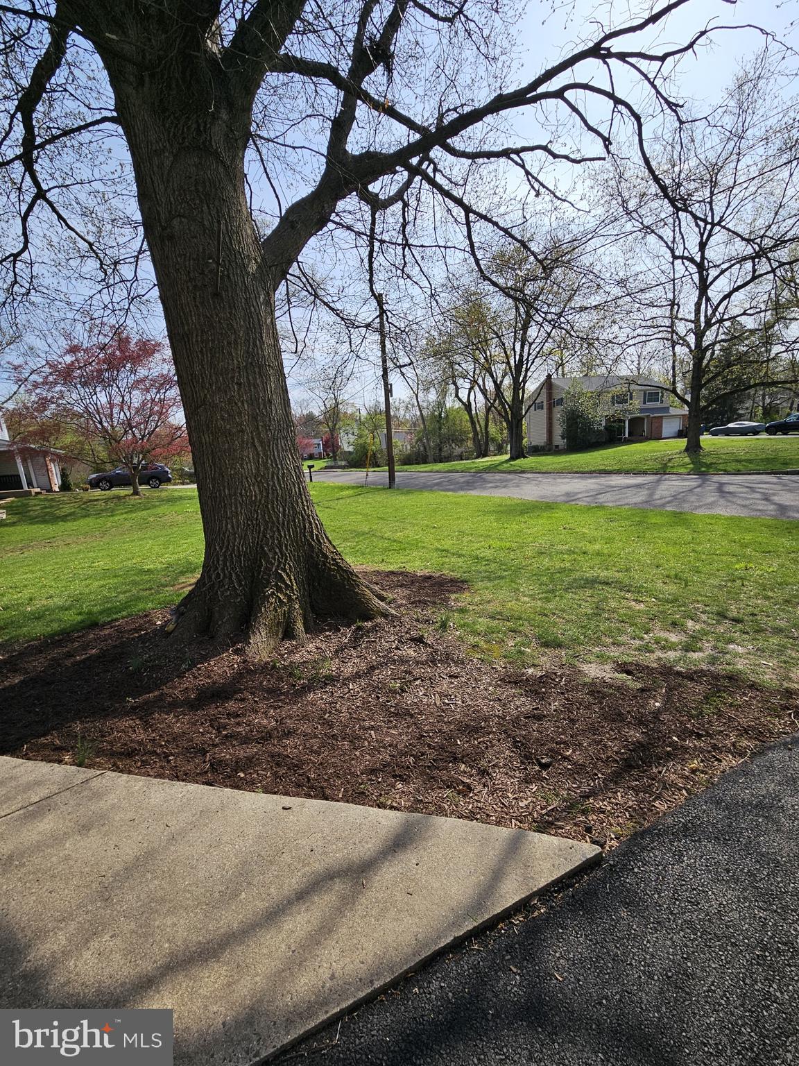 223 Valley Road Yardley, PA 19067 - Photo 6 of 44 a view of a yard with tree s