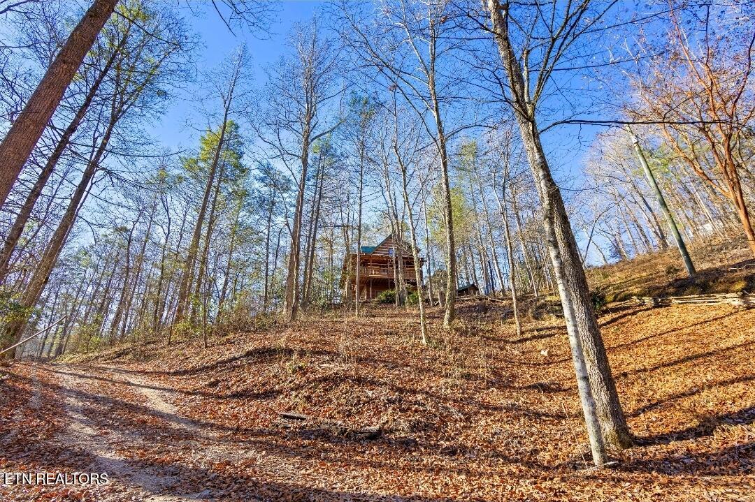 2845 Grassy Branch Road Sevierville, TN 37876 - Photo 1 of 60 1000027750