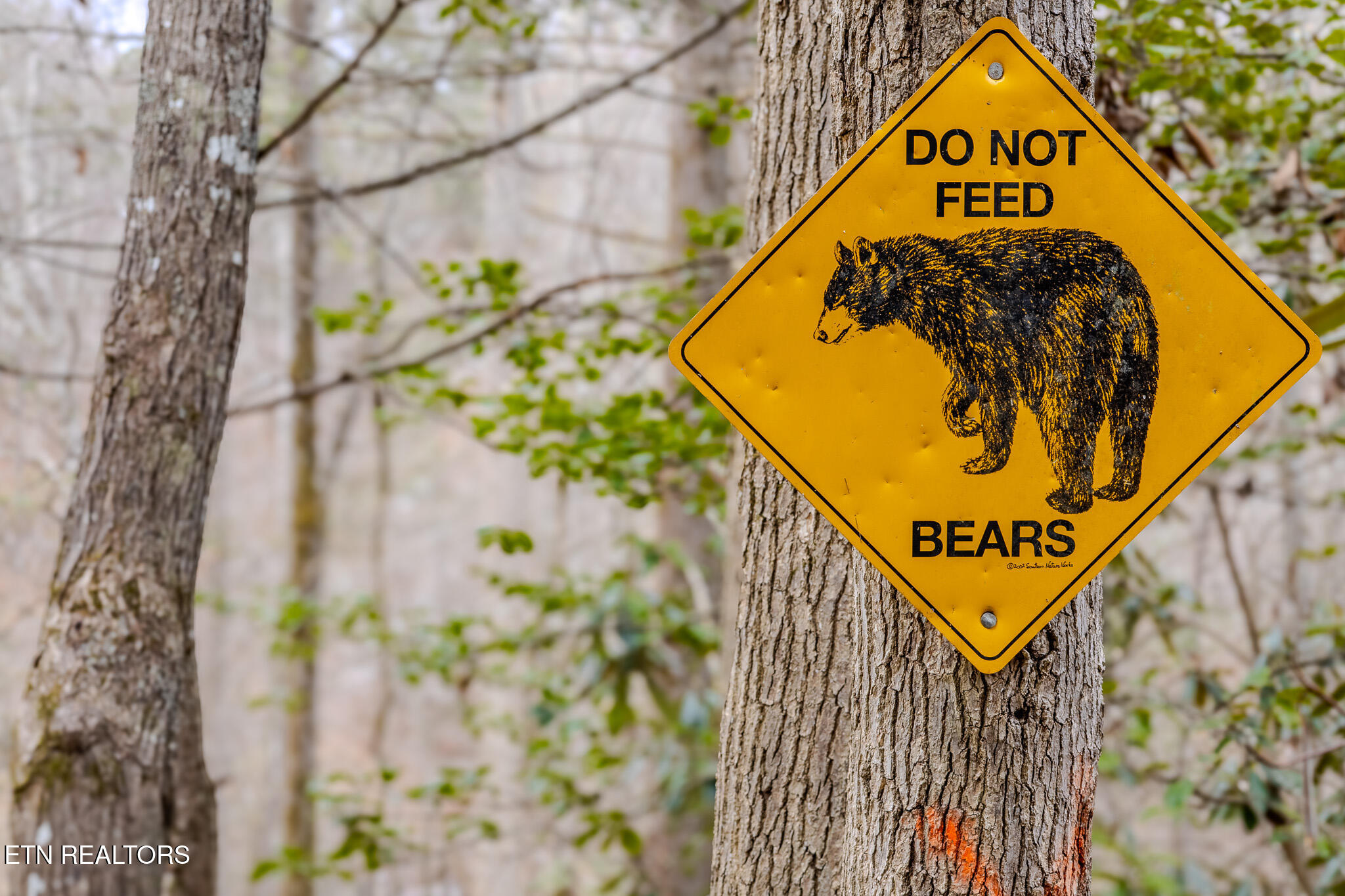 2845 Grassy Branch Road Sevierville, TN 37876 - Photo 9 of 60 1N9A0437-HDR
