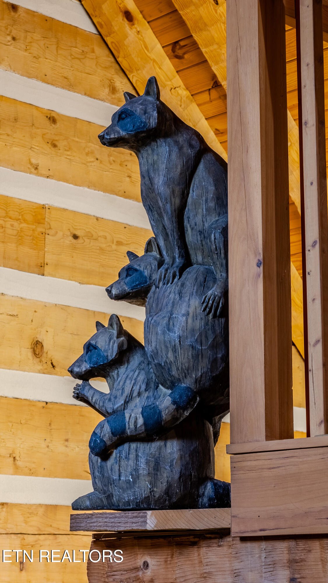 2845 Grassy Branch Road Sevierville, TN 37876 - Photo 10 of 60 1N9A0376-HDR