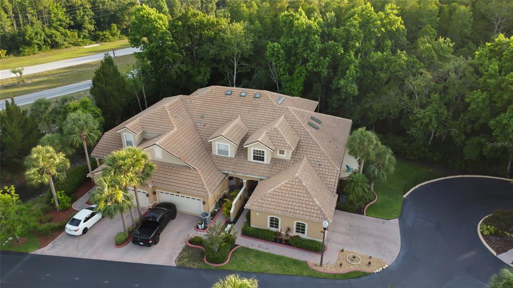 7246 Gaberia Road New Port Richey, FL 34655 - Photo 6 of 45 a view of a house with backyard
