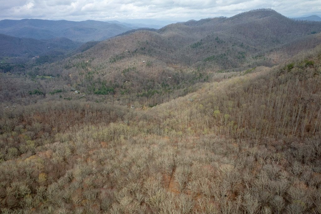 11 Stone Pillow Road Tuckasegee, NC 28783 - Photo 13 of 26 Gallery Image 13