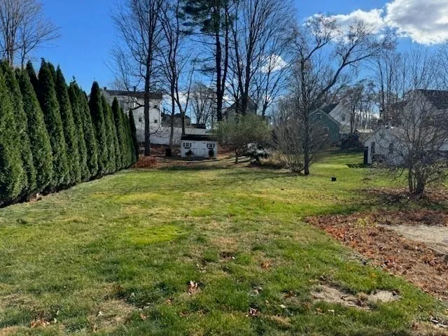 a view of a yard in front of house