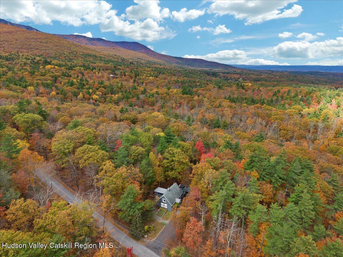 126 Storks Nest Road Round Top, NY 12473 - Photo 36 of 43 a view of city and green space