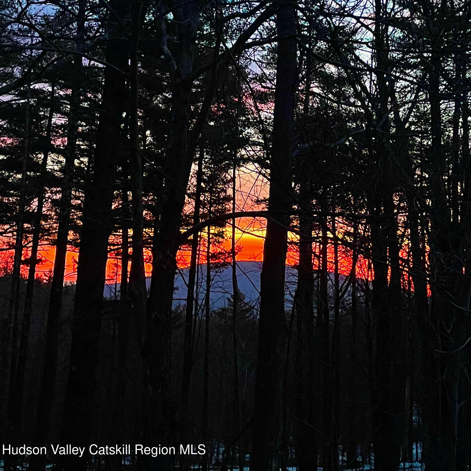 126 Storks Nest Road Round Top, NY 12473 - Photo 38 of 44 a view of tree