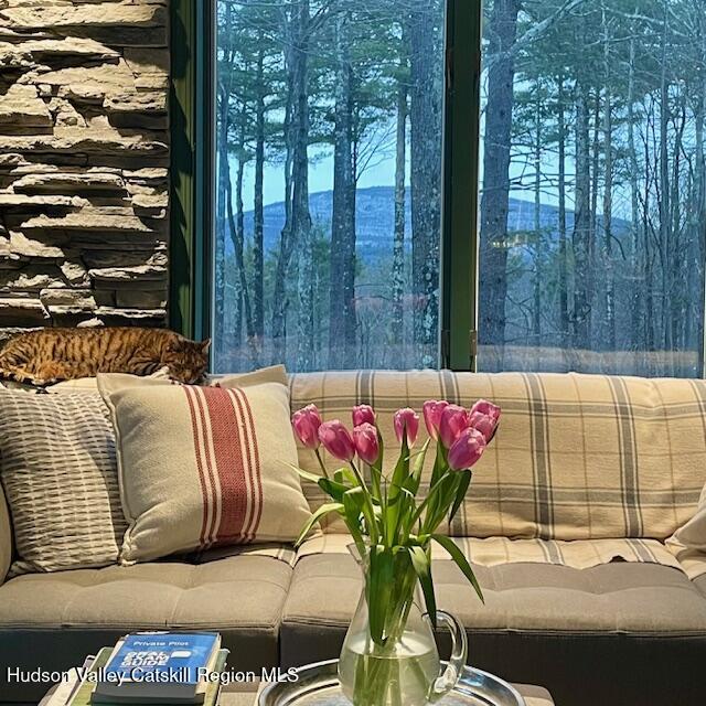 126 Storks Nest Road Round Top, NY 12473 - Photo 7 of 43 a outdoor view with a seating space