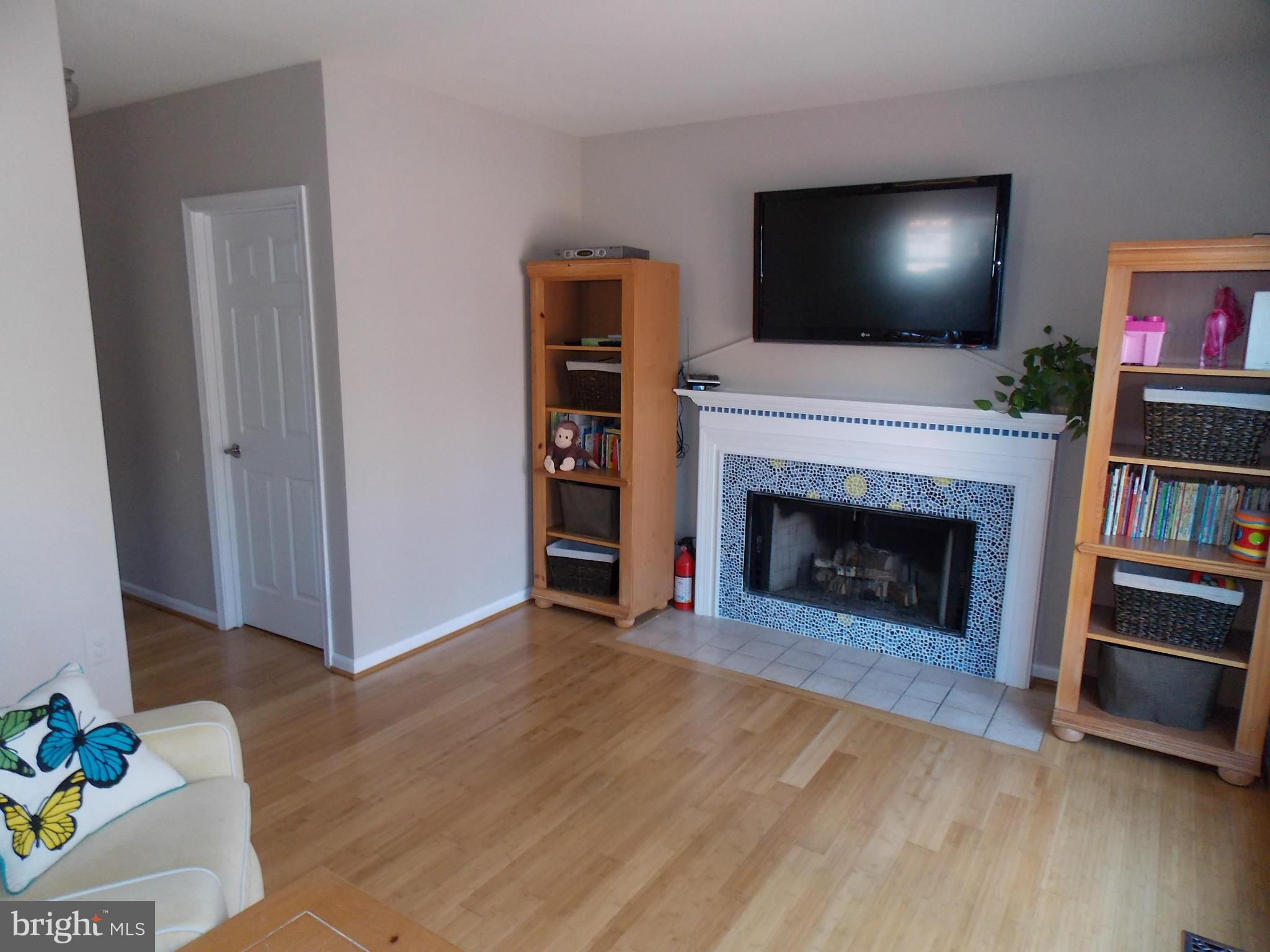 429 Deer Path Avenue Southwest Leesburg, VA 20175 - Photo 12 of 30 a living room with furniture and a fireplace