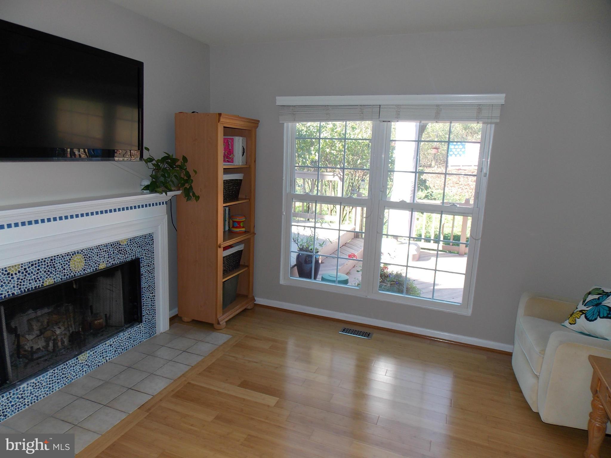 429 Deer Path Avenue Southwest Leesburg, VA 20175 - Photo 13 of 30 a living room with furniture and a fireplace