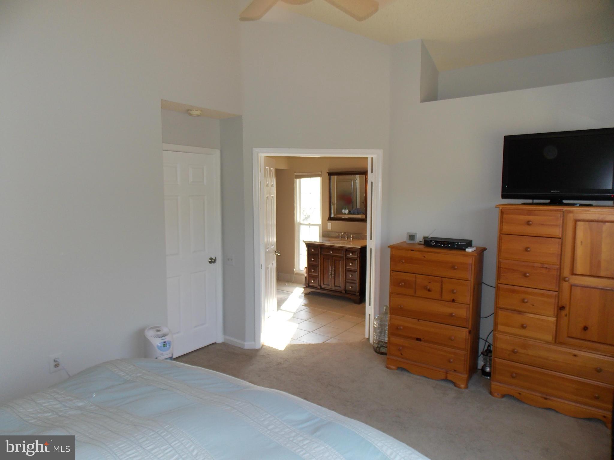 429 Deer Path Avenue Southwest Leesburg, VA 20175 - Photo 19 of 30 a bedroom with a bed and a television