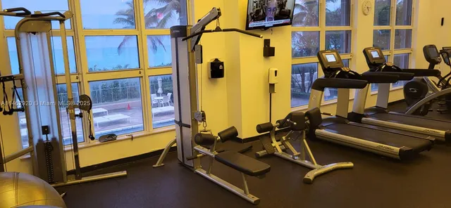 a yard with palm trees