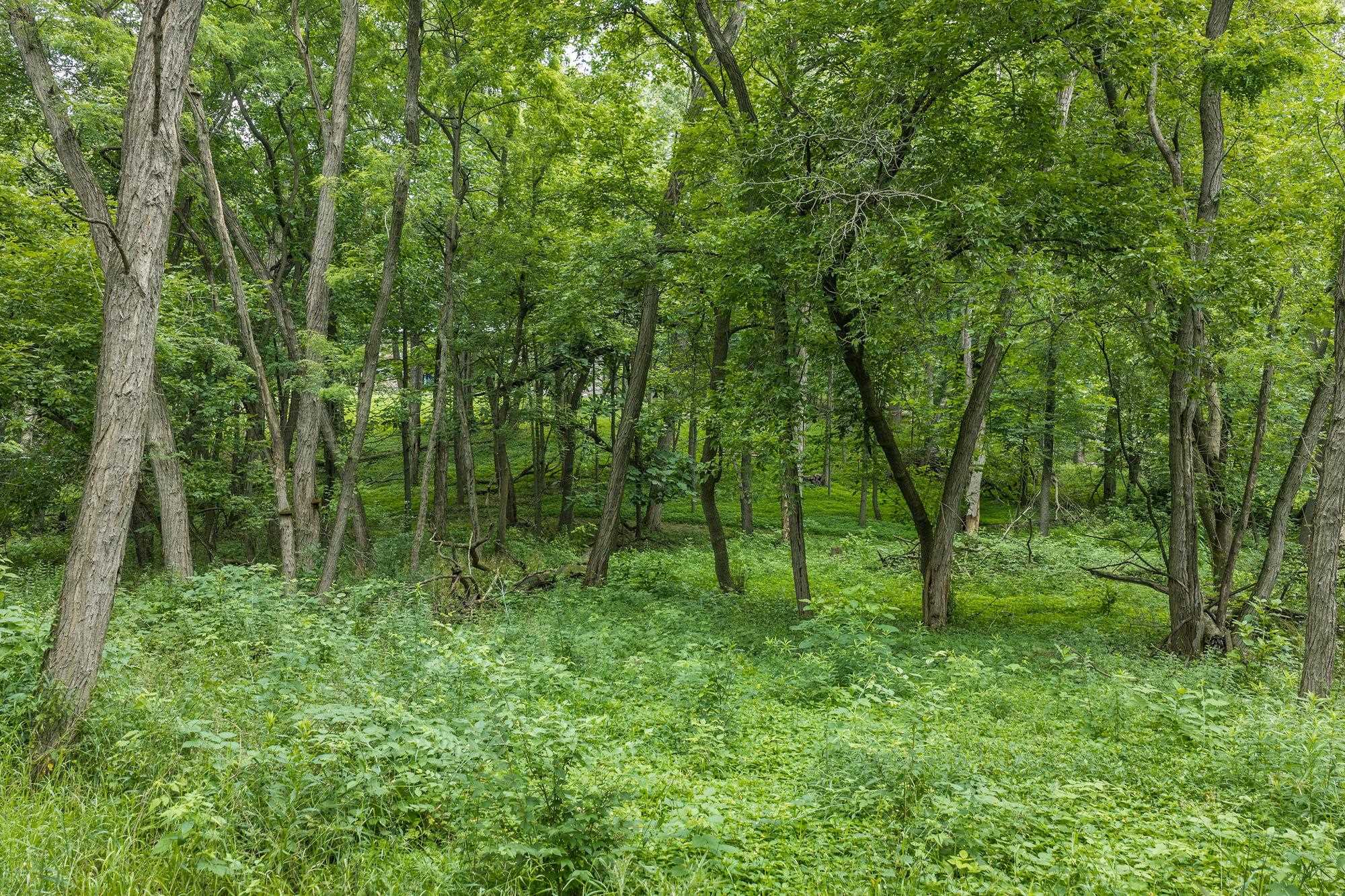 N8720 County Rd CX Portage, WI 53901 - Photo 66 of 75