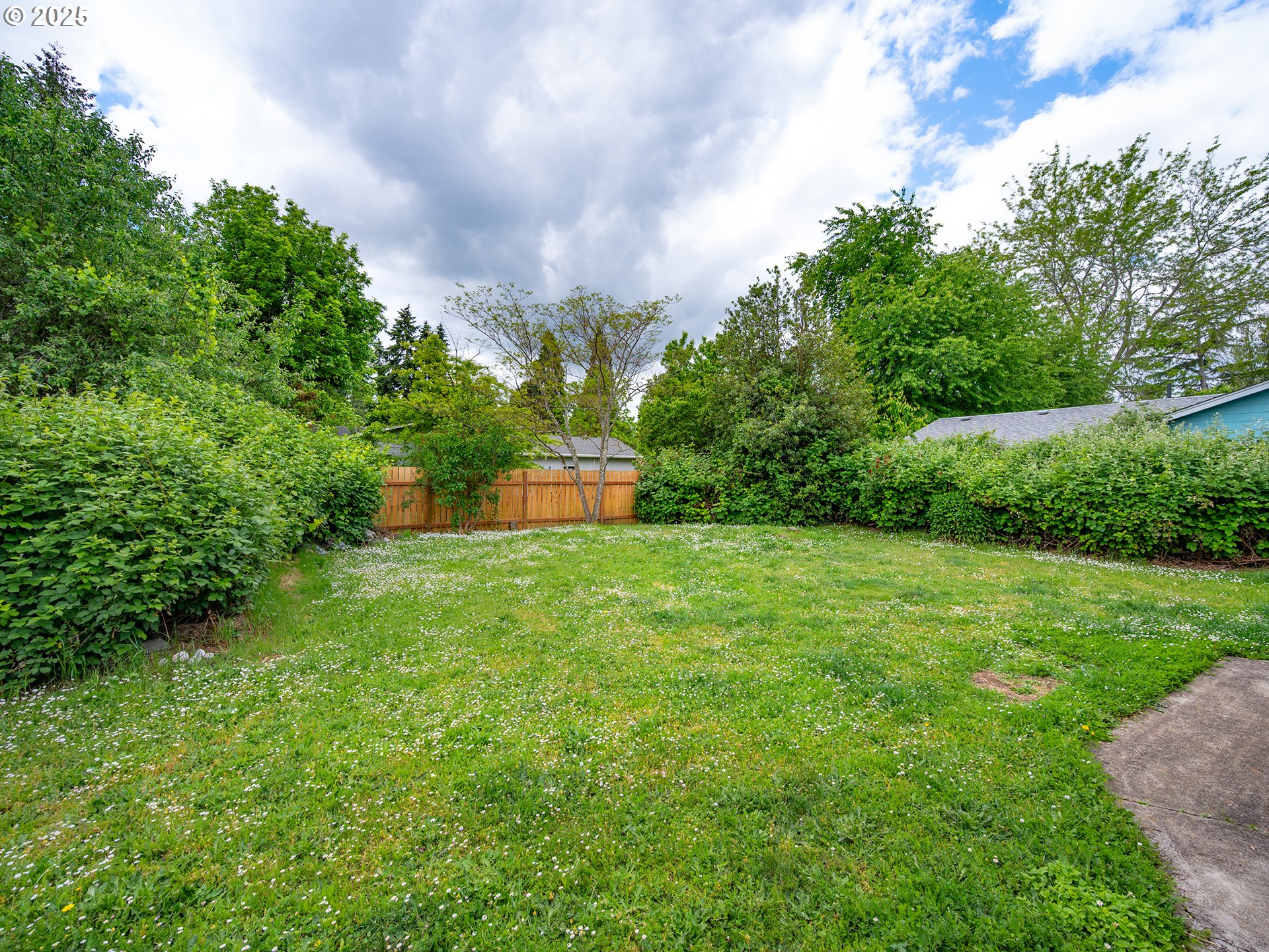 1376 Buck Street Eugene, OR 97402 - Photo 24 of 31 a view of a garden with large trees