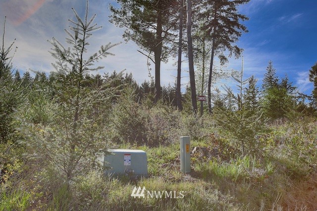 33 Schmitz Road Kalama, WA 98625 - Photo 3 of 14 Gallery Image 3