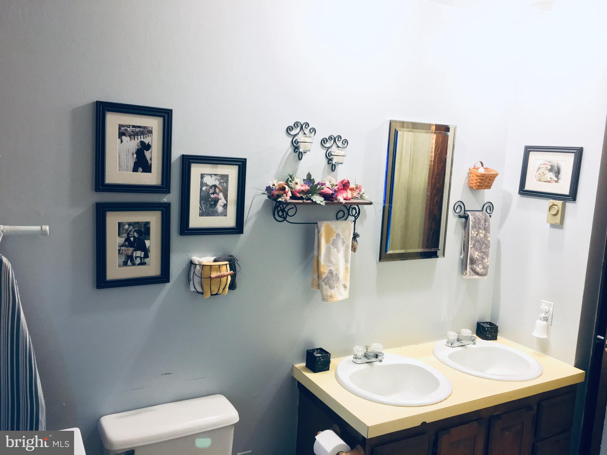 616 Bloserville Road Newville, PA 17241 - Photo 15 of 23 main bathroom with laundry hook up