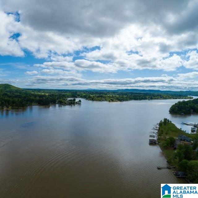 1000 Whorton Bend Road Rainbow City, AL 35906 - Photo 4 of 49