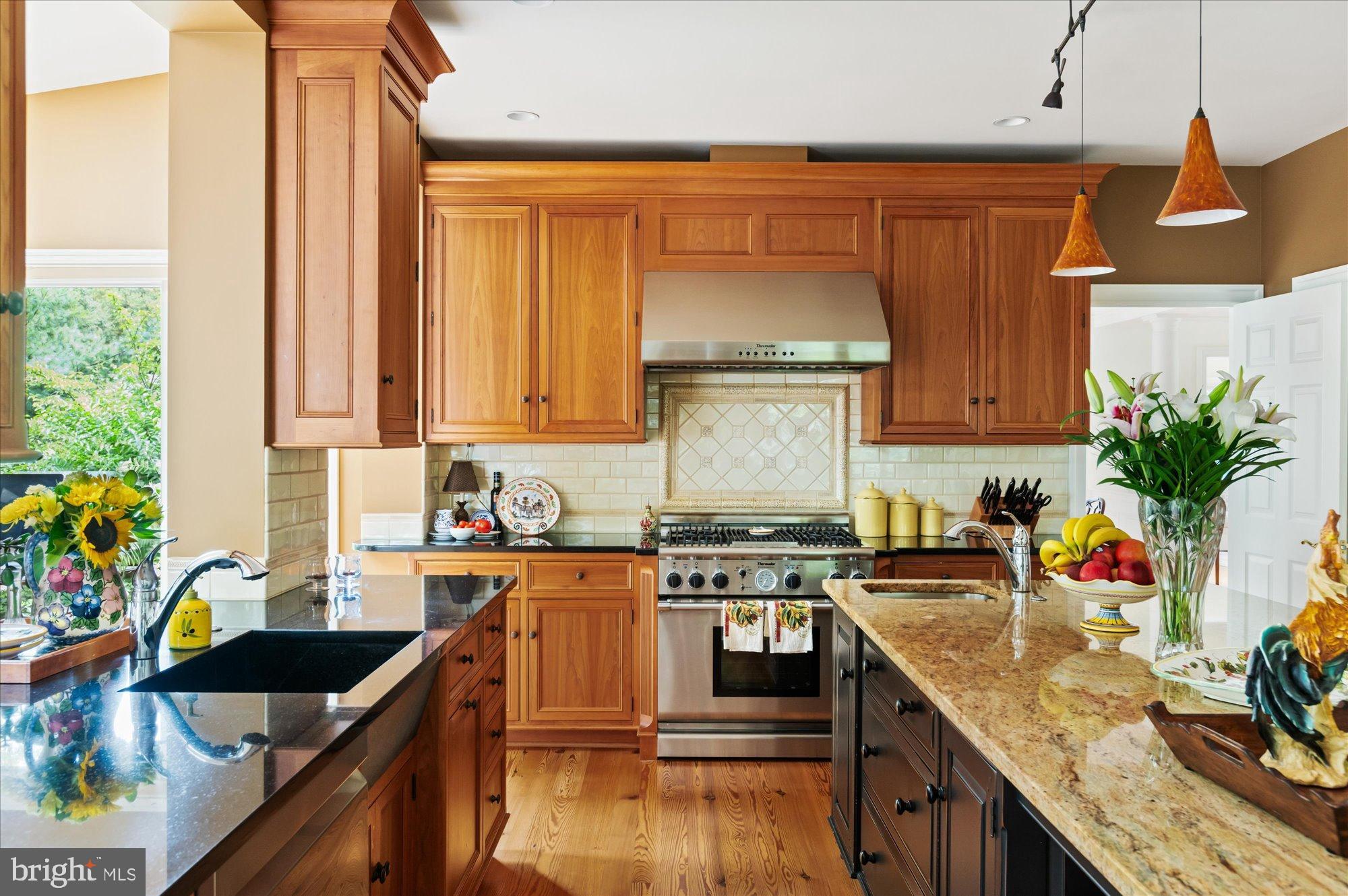 11308 Stonehouse Place Sterling, VA 20165 - Photo 17 of 76 Thermador Gas Range and Soapstone Sink