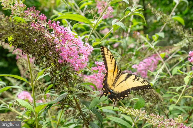 $1,845,000 | 11308 Stonehouse Place, Sterling, VA 20165