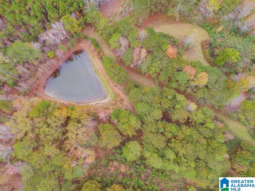 607 County Road 88 Fruithurst, AL 36262 - Photo 9 of 16