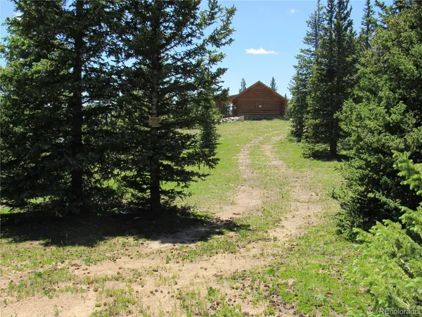 a view of a yard with trees in the background