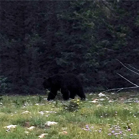 $363,000 | 6554 Giesse Road, San Luis, CO 81152