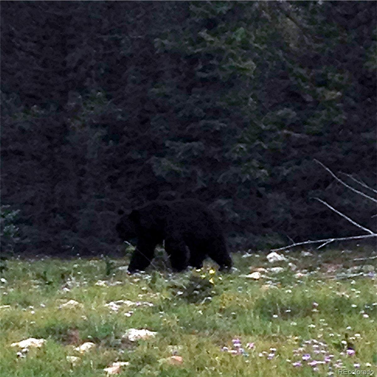 6554 Giesse Road San Luis, CO 81152 - Photo 31 of 41