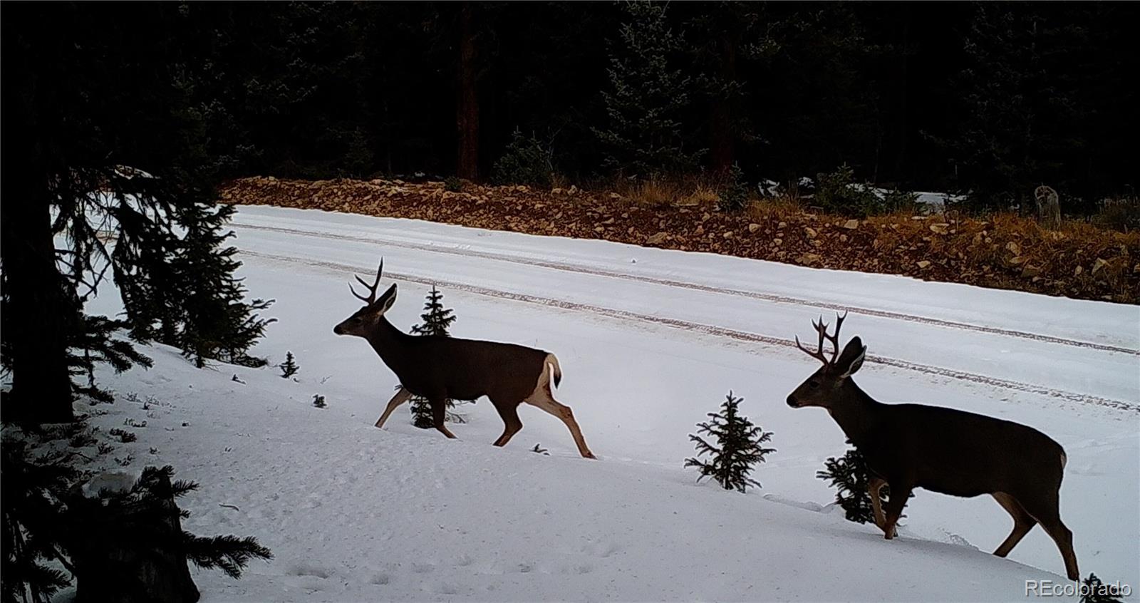 6554 Giesse Road San Luis, CO 81152 - Photo 33 of 41