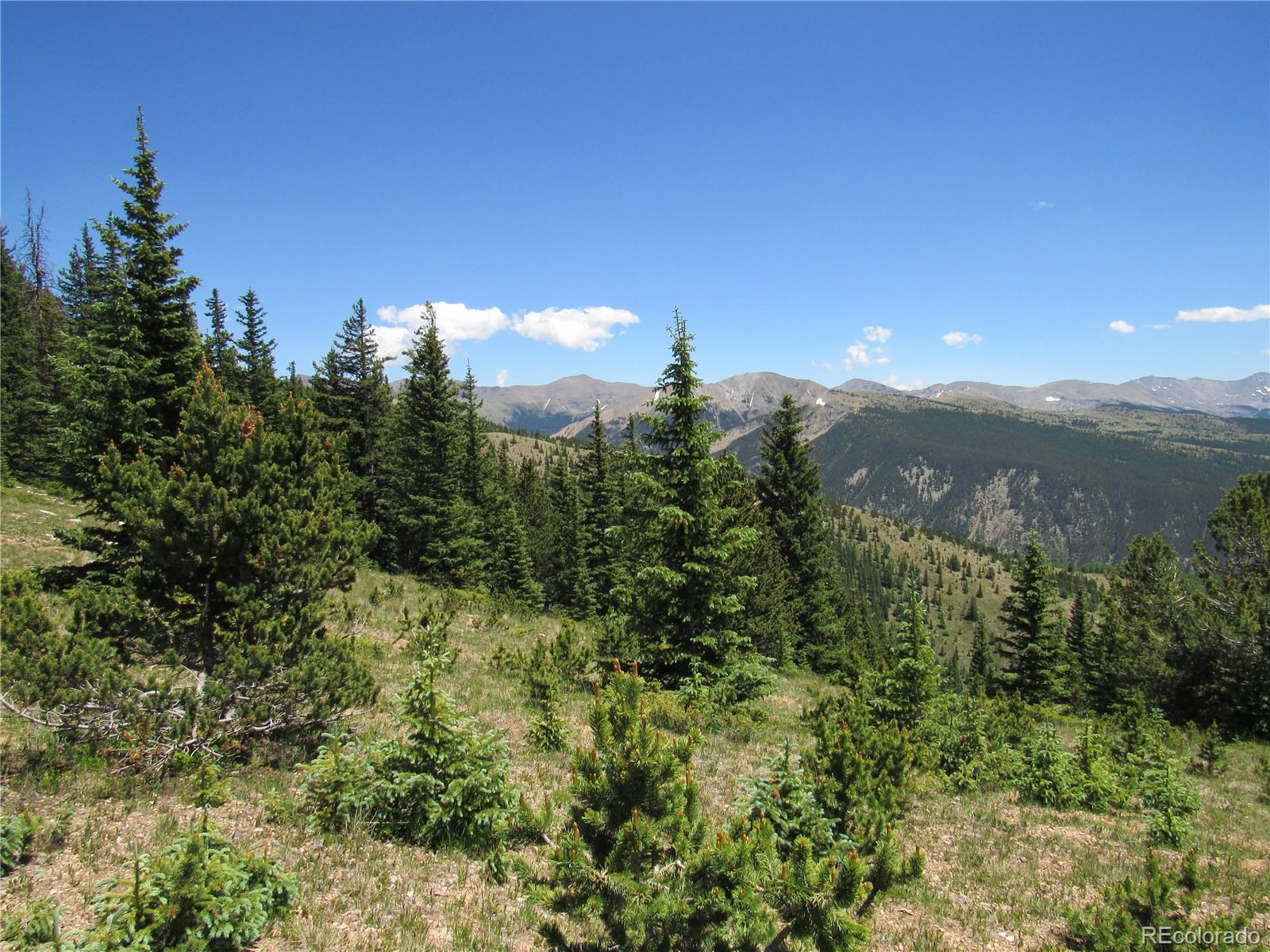 6554 Giesse Road San Luis, CO 81152 - Photo 38 of 41