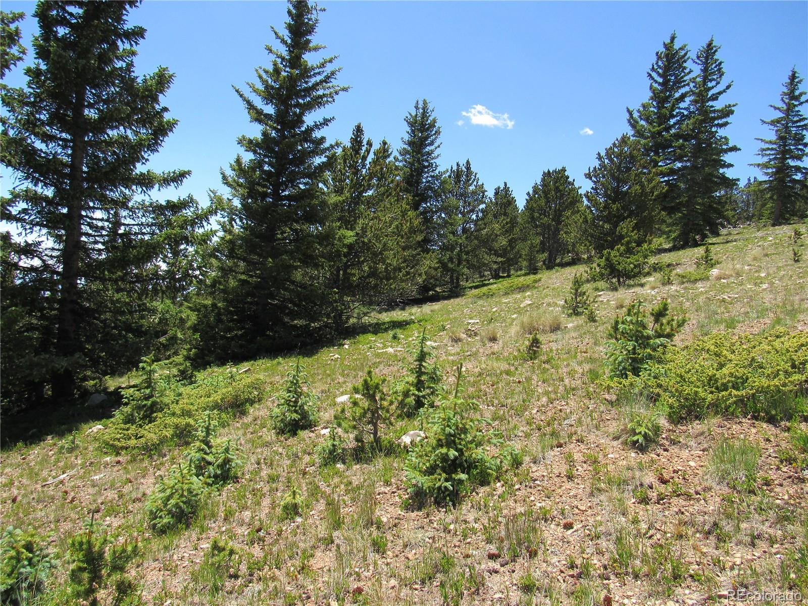 6554 Giesse Road San Luis, CO 81152 - Photo 39 of 41