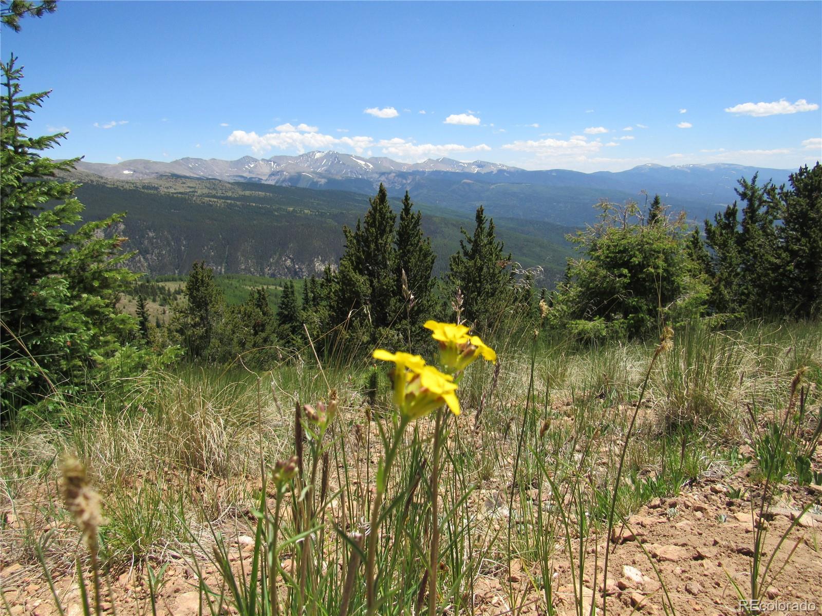 6554 Giesse Road San Luis, CO 81152 - Photo 5 of 41