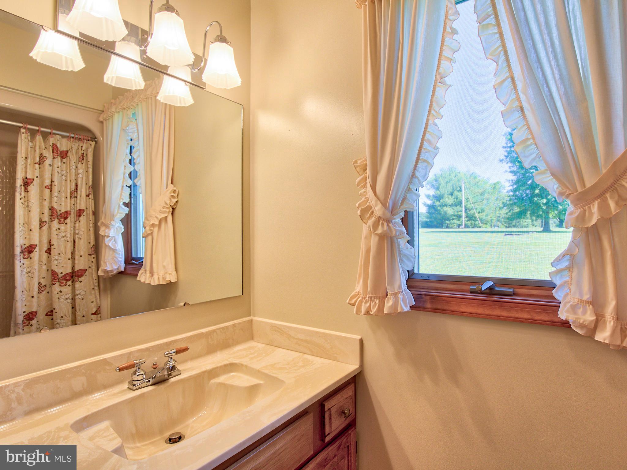 210 Hanging Tree Road Winchester, VA 22603 - Photo 16 of 50 Full bath w/ shower have easy access frm back door