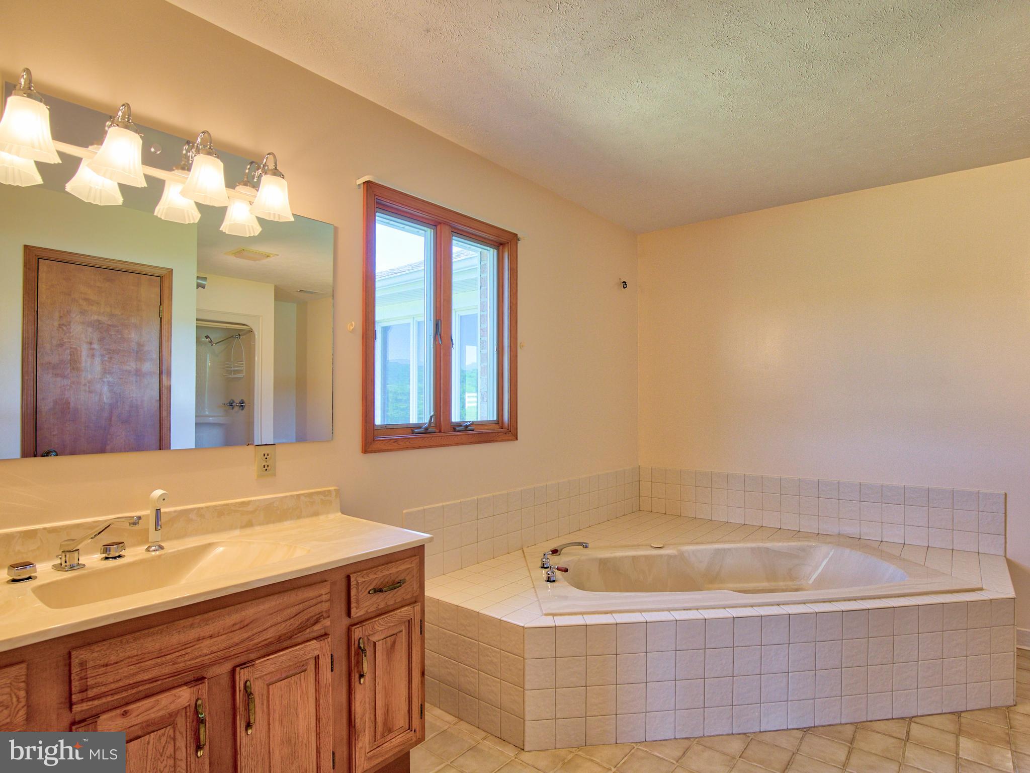 210 Hanging Tree Road Winchester, VA 22603 - Photo 26 of 50 Master en suite with large soaking tub
