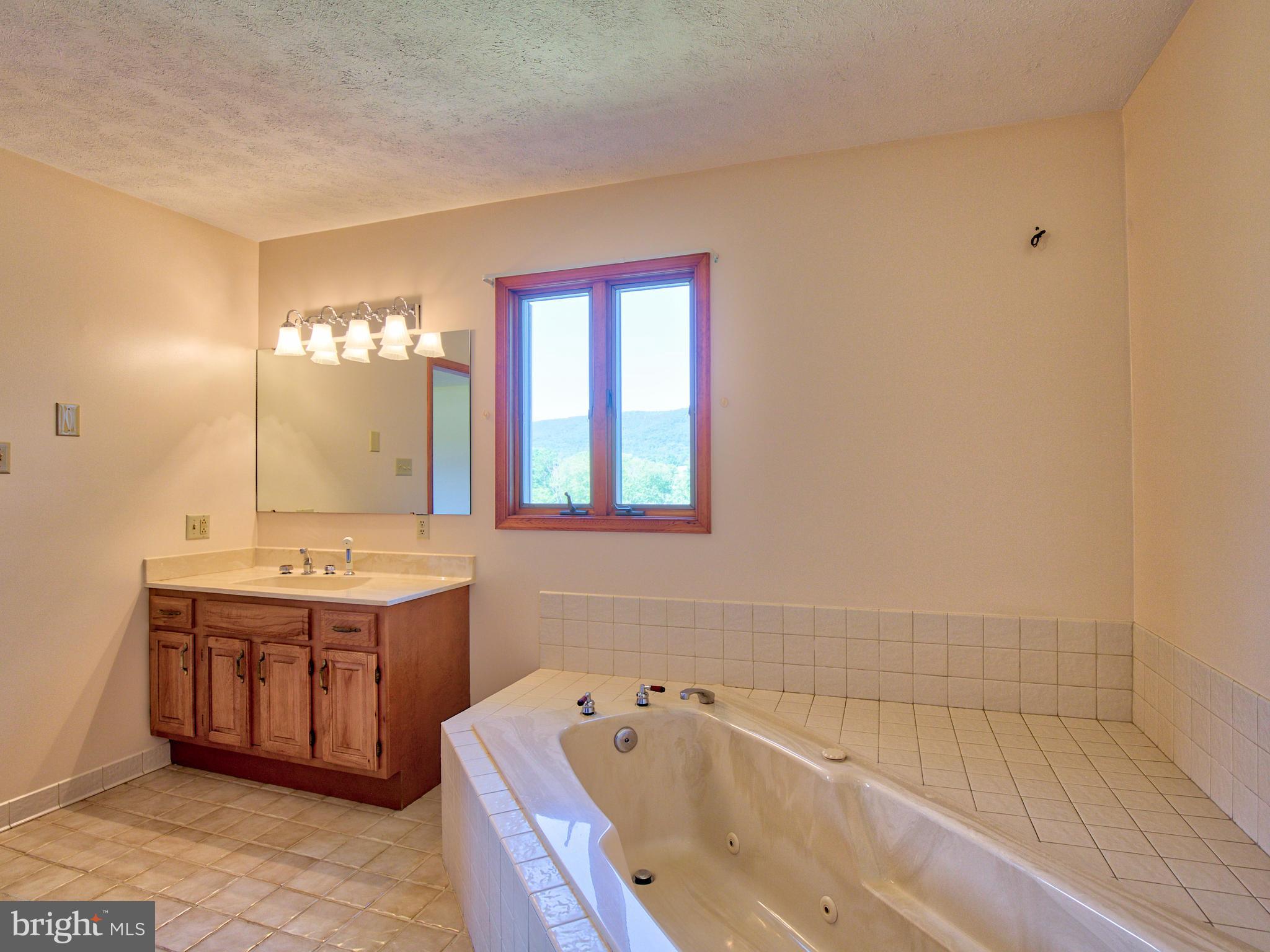 210 Hanging Tree Road Winchester, VA 22603 - Photo 27 of 50 A soak in the tub and a view of the Blue Ridge