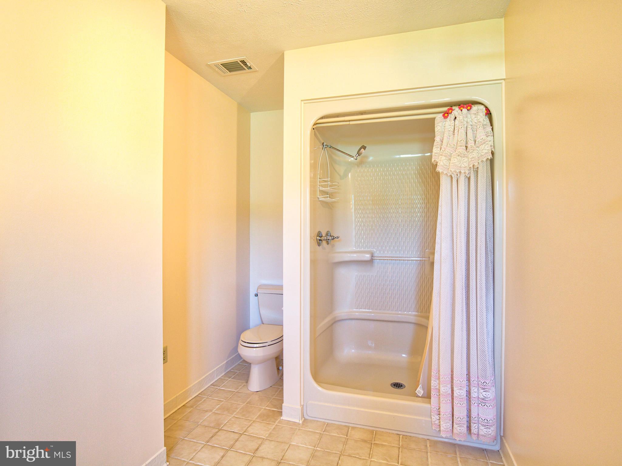 210 Hanging Tree Road Winchester, VA 22603 - Photo 28 of 50 Master en suite shower and water closet