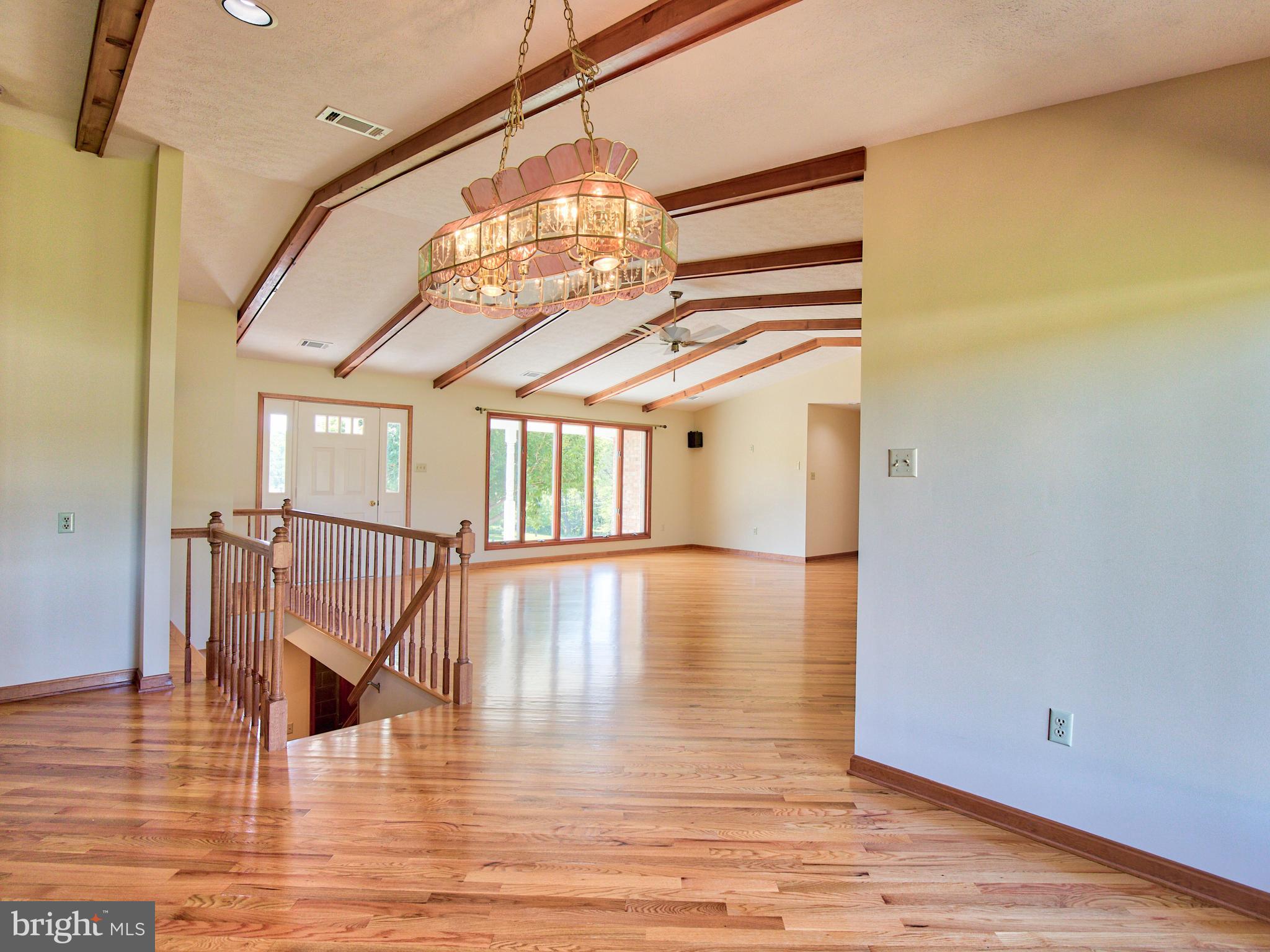 210 Hanging Tree Road Winchester, VA 22603 - Photo 9 of 50 Nothing but shiny hardwoods far as the eye can see