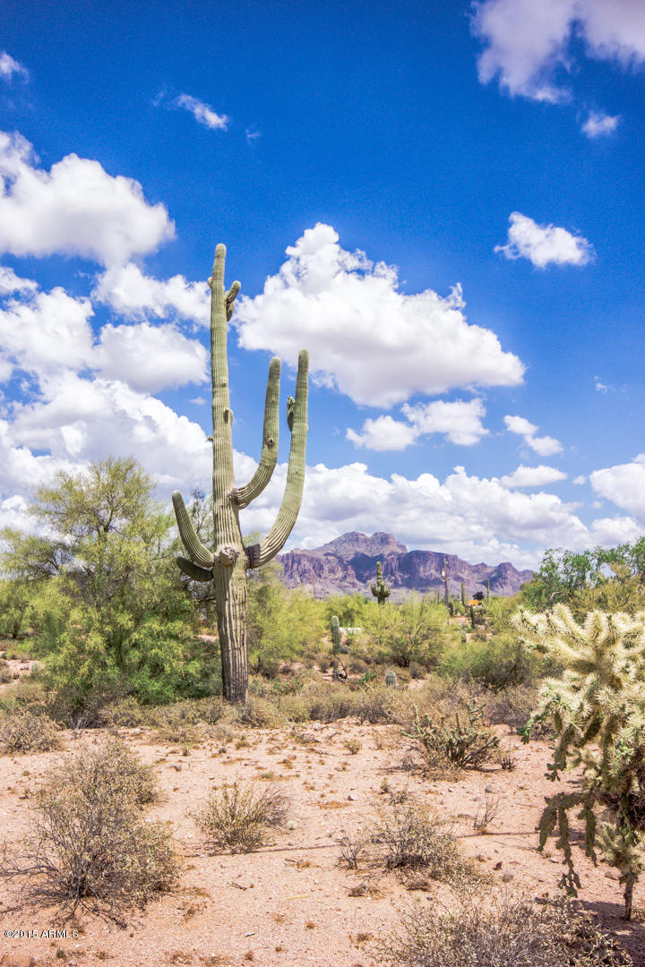 4896 North Arizona Road Apache Junction, AZ 85119 - Photo 50 of 52 Arizona Rd-50