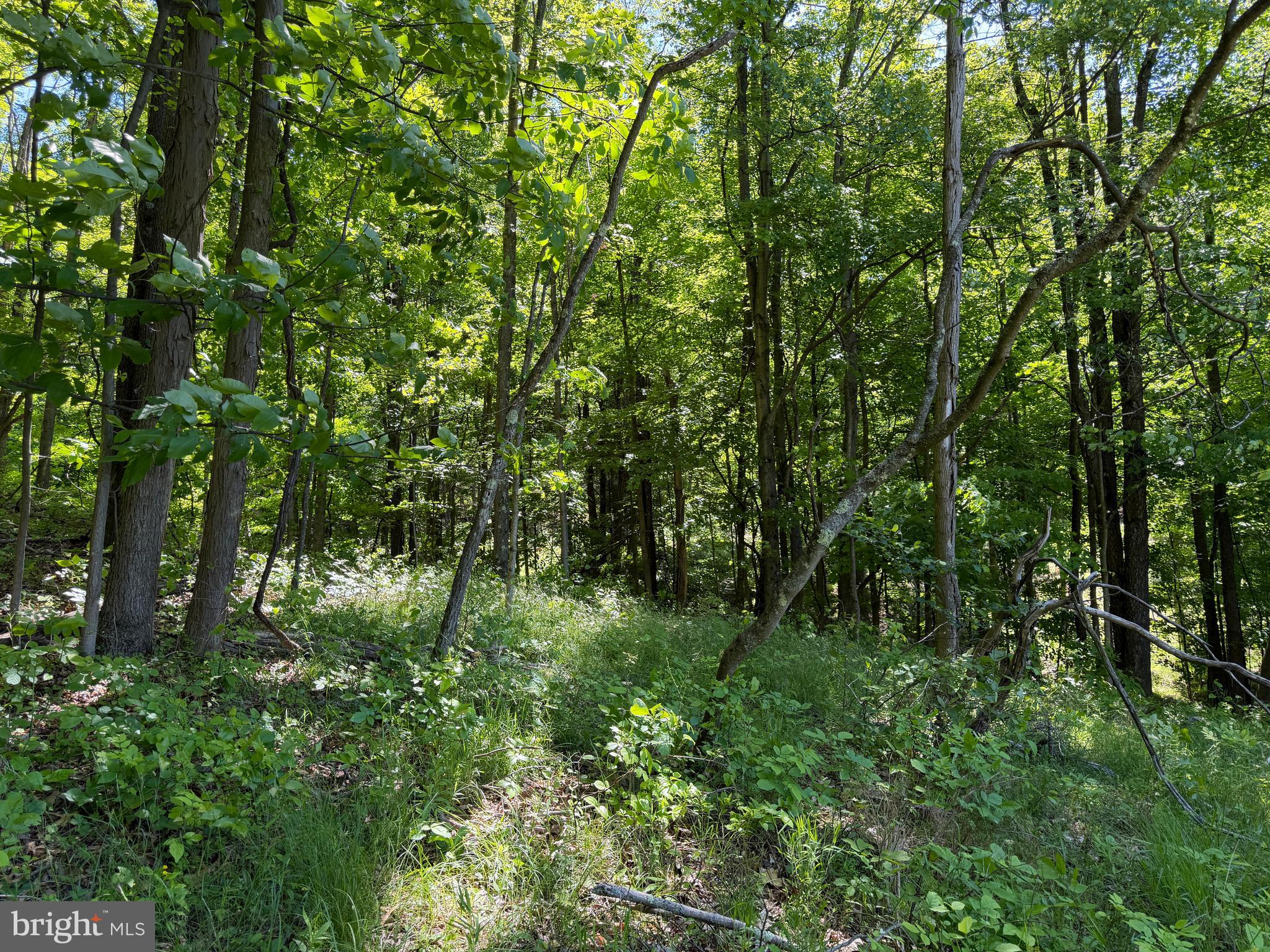 944 Decker Hollow Road Tyrone, PA 16686 - Photo 24 of 82