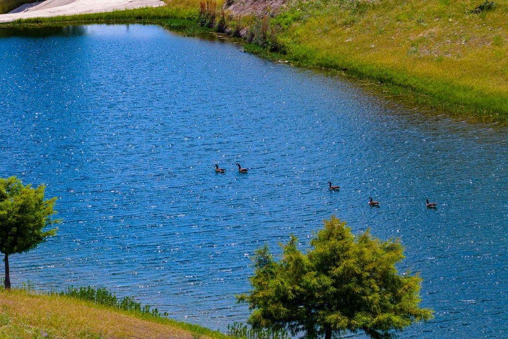 339 Henderson Branch Road West Ingram, TX 78025 - Photo 6 of 51