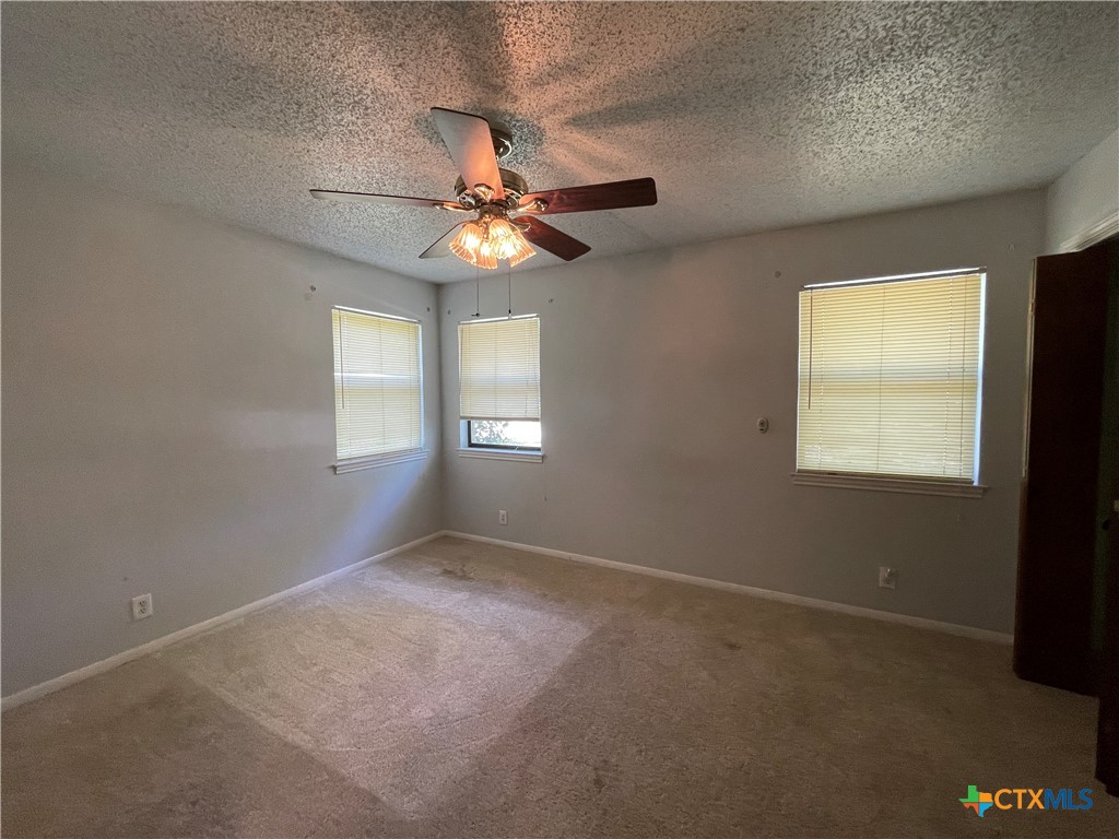 3605 Buffalo Trail Temple, TX 76504 - Photo 17 of 31