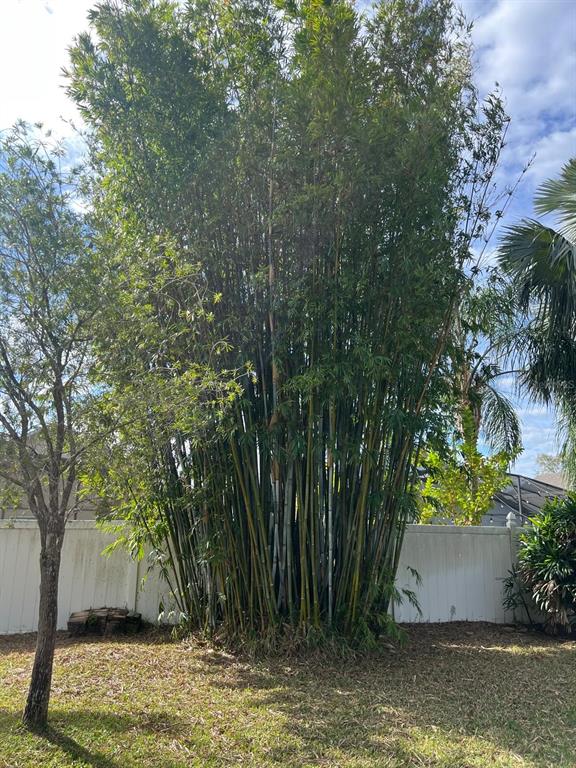 655 Eagle Pointe South Kissimmee, FL 34746 - Photo 39 of 49