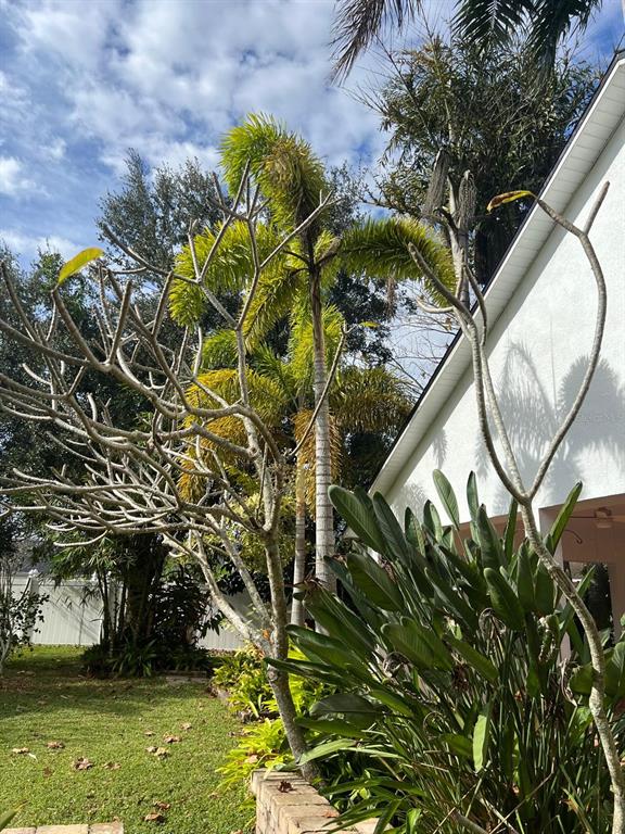 655 Eagle Pointe South Kissimmee, FL 34746 - Photo 41 of 49