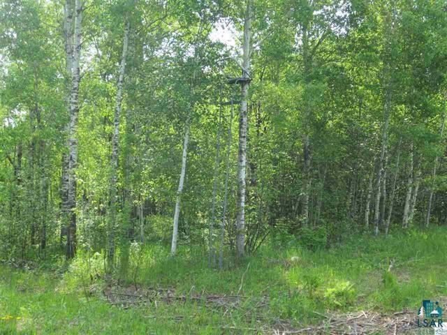 Xx1 Crosby Road Esko, MN 55733 - Photo 1 of 3 Gallery Image 1