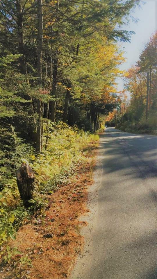 769 Wild Meadow Road Grafton, NH 03240 - Photo 1 of 6 Gallery Image 1