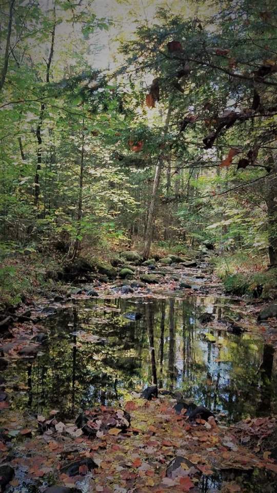 769 Wild Meadow Road Grafton, NH 03240 - Photo 3 of 6 Gallery Image 3