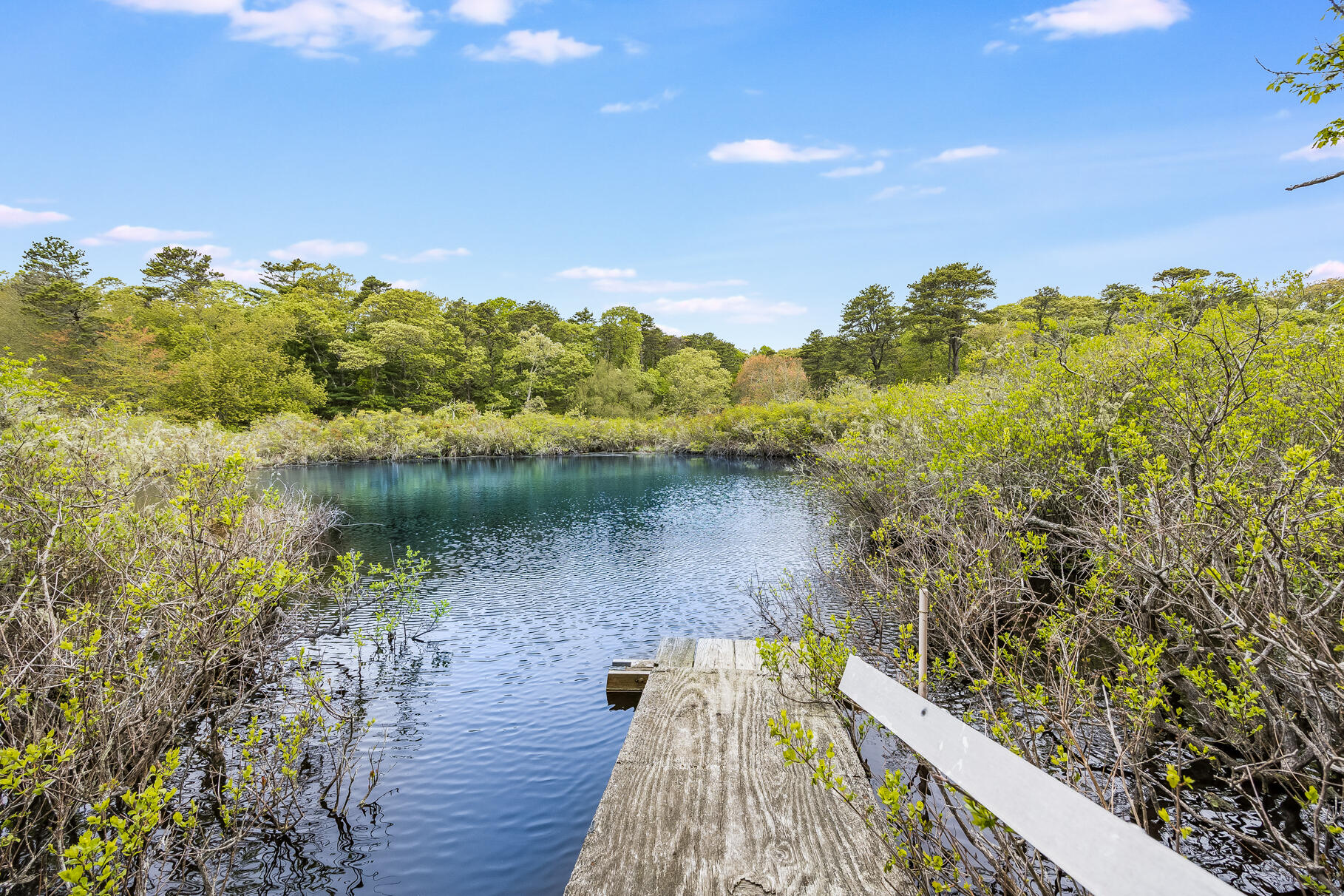 575 Nauset Road Eastham, MA 02642 - Photo 12 of 68 a view of a lake with a house in the background
