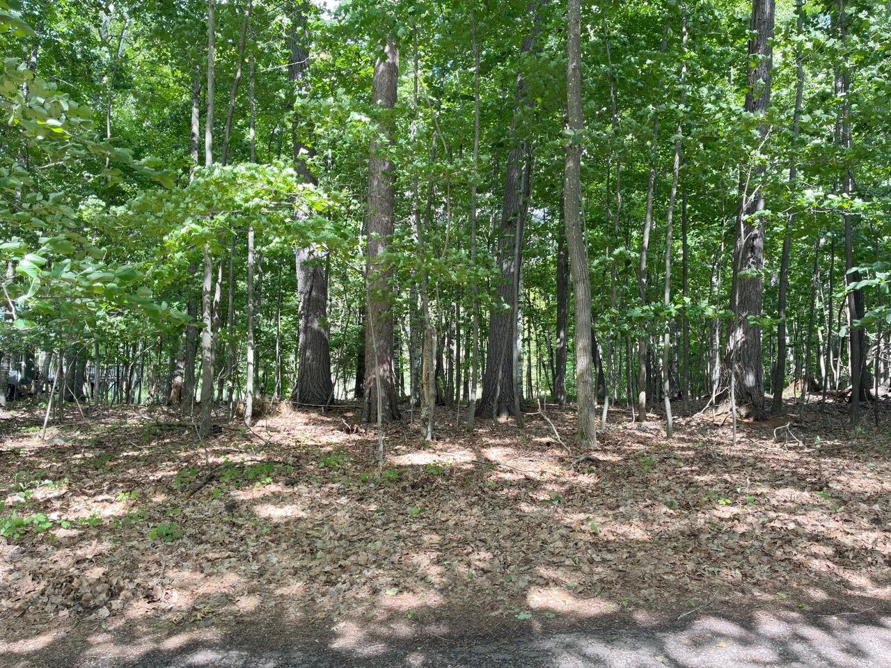 On Kein Road, Unit LOT 12 Mercer, WI 54547 - Photo 17 of 20 Gallery Image 17