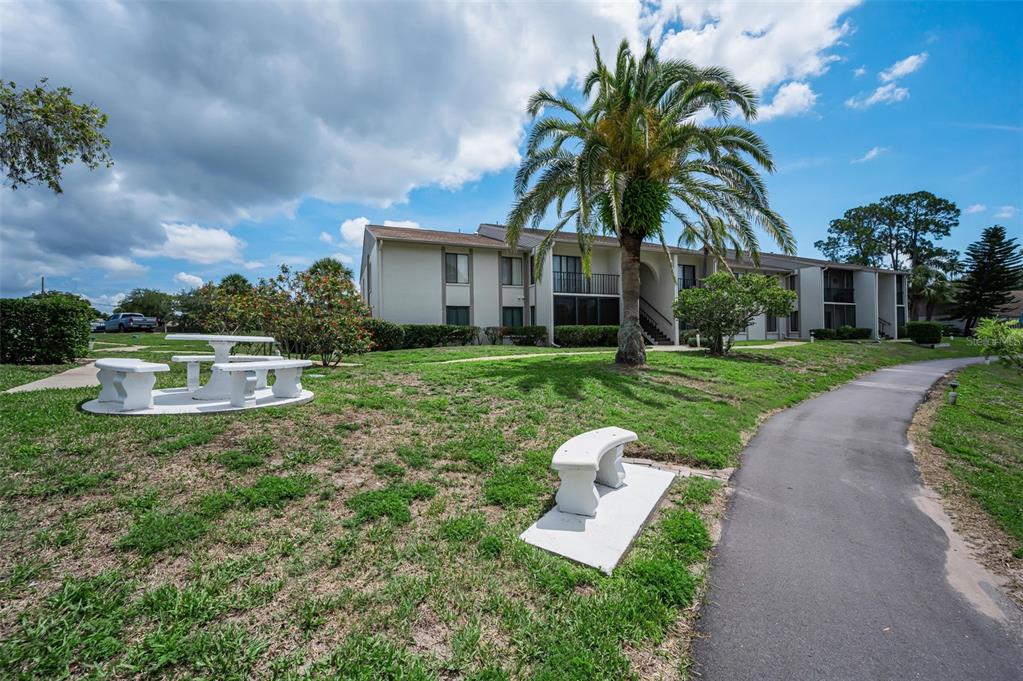 1870 Pine Ridge Way West, Unit G1 Palm Harbor, FL 34684 - Photo 47 of 77